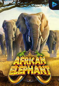 Bocoran RTP African Elephant di ZOOM555 | GENERATOR RTP SLOT