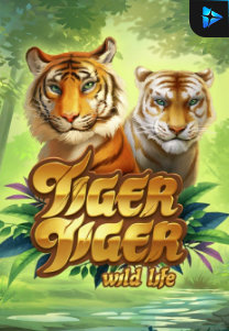 Bocoran RTP Tiger Tiger Wild Life di ZOOM555 | GENERATOR RTP SLOT